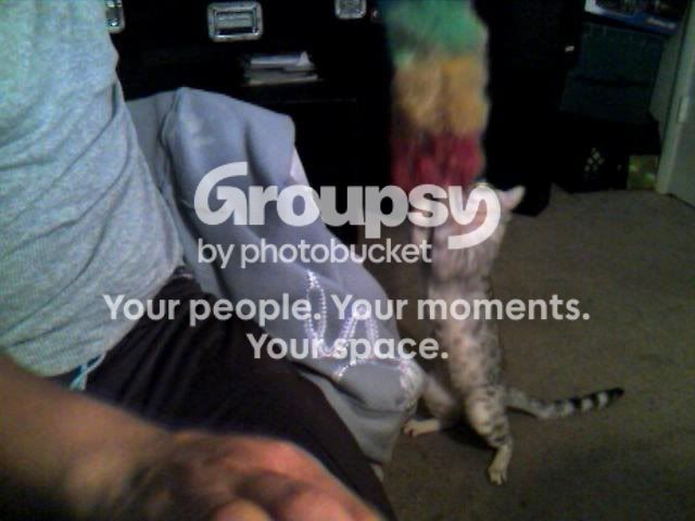BOOTSDANCING.jpg image by DJSOUND_1